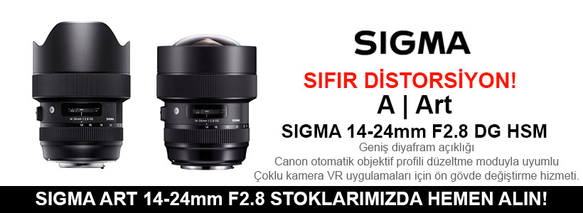 A | Art SIGMA 14-24mm F2.8 DG HSM